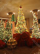 Brigthly and sparkling chrismas trees