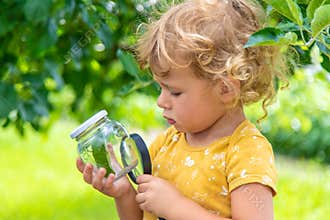 A child studies a beetle in a jar with a magnifying glass. Selective focus.