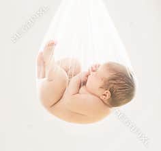 Baby fetus newborn, new born child embryo, birth concept