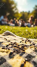 A group of black ants converging on a picnic blanket in a sunny park, with blurred people in the background, illustrating the