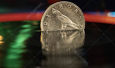 Hungarian coin reflection in water