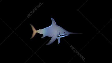 Digital swordfish morphing into futuristic aircraft animation