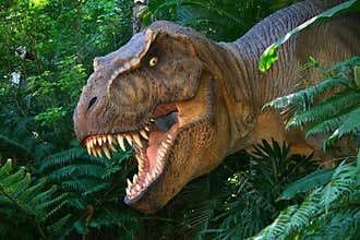 T-rex
