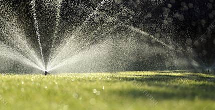 Garden sprinklers on green grass