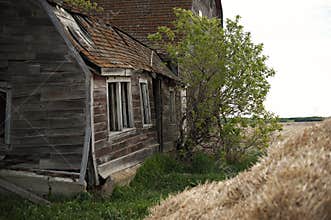 Alberta or Prairie Farm Field Old Barn