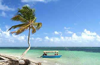 Palm tree and boat on tropical beach