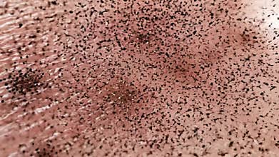 Close Up Extreme Macro of Blackheads and Pores on Human Skin Illuminated by Bright Light