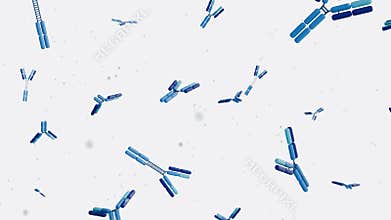A 3d animation of Y-shaped IgG antibodies to search for and bind antigens.