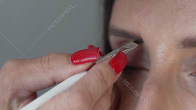 Eyebrow Shaping Professional Makeup Artist Filling In Brows With Brush