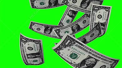 Falling One Dollar Bills on Green Screen - Money Rain Chroma Key Loop