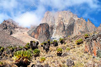 Mount Kenya, Africa
