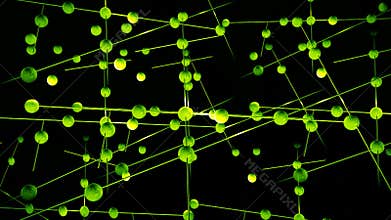 Abstract digital network connections