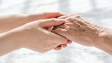 The young woman\'s hand holds the old man\'s hand