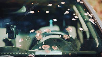 Close up of a car windshield dirty with