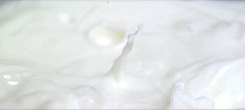 Slow motion almonds falling into milk. Milky splash
