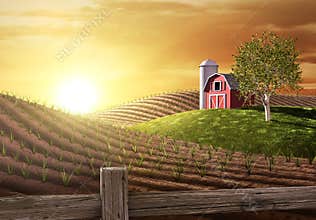 Morning on the Farm