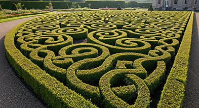 Intricate Spiral Topiary Maze in Formal European Garden