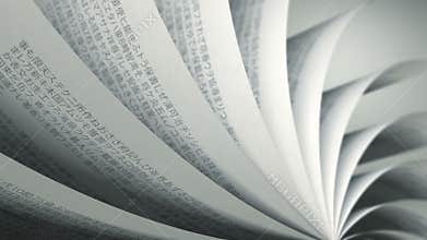 Turning Pages (Loop) Japanese Book