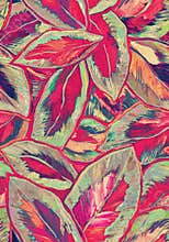 Ficus red leaves strokes paint drawn foliage seamless pattern.