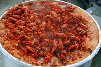 Crawfish Boiling