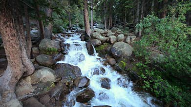Wilderness Mountain River Footage. Colorado USA