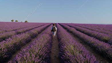Tourist or traveller in lavender fields