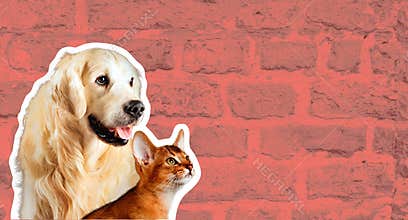 Cat and dog, abyssinian kitten , golden retriever looks at right in front of bright brick wall. Cartoon zine retro style