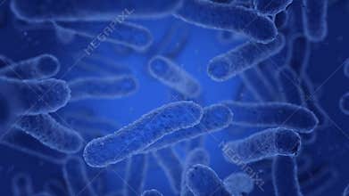 Bacteria in blue are moving