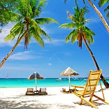 Tropical holidays