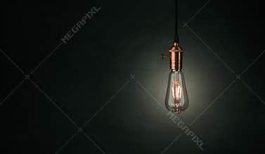 Close up of a vintage, Edison light bulb