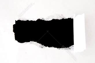 Sheet of torn paper