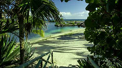 Filtered view from palm trees and vegetation of the Puerto Aventuras beach in the Mayan Riviera in Mexico