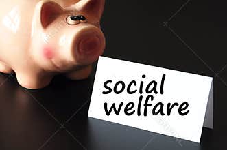 Social welfare