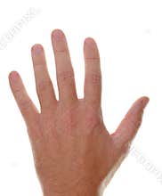 Open back hand