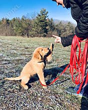 High five