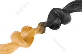Knots of hair in shape of heart, isolated on white background. Black and blond. Care concept