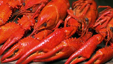 Cooked Crayfish