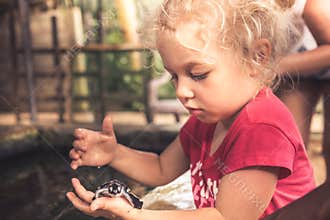 Child holding carefully sea turtle in turtle farm nursery concept wild animal care and wildlife protection