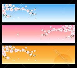 Spring banners - sakura