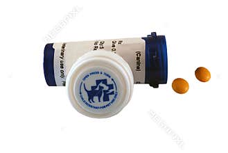 Pills for Dog or Cat