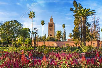 Koutoubia Mosque and garden in Marrakesh