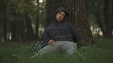 Vulnerable alcoholic sleeping under tree in park, careless and crazy youth