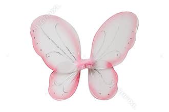 Fairy Wings