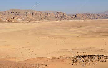Sinai Desert