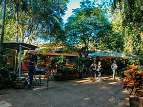 Bird Park in Brazil and conservation park