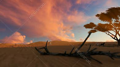 Arab man walking through the desert towards oasis at sunset, camera fly
