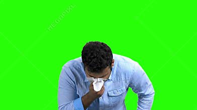 Young man about to sneeze, green screen.