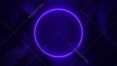 Tropical palm leaves with glowing frame on black background. Looped 4K motion graphic.