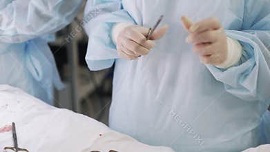 Close up of assistant hands prepare medical clamp and give it to doctor during surgery in hospital
