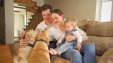 Cheerful young family with two dogs pets at home. Positive emotions